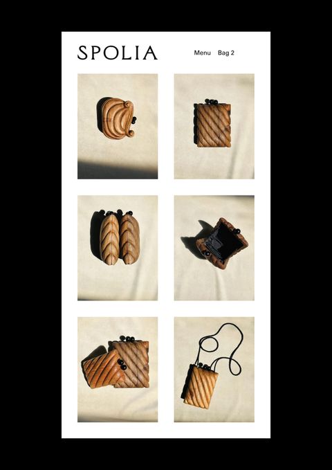 Fredrik Nathorst, Website for Spoliā